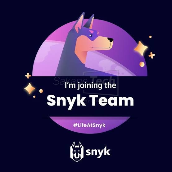 Snyk Team licence — Snyk Limited · Sakane Tech