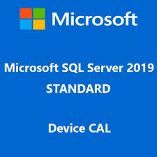 Licence – Windows Server 2019 Remote Desktop Services Device/User Connections 50 CAL — Microsoft · Sakane Tech
